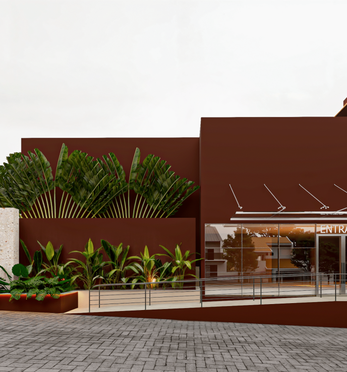 Instituto da Visão
